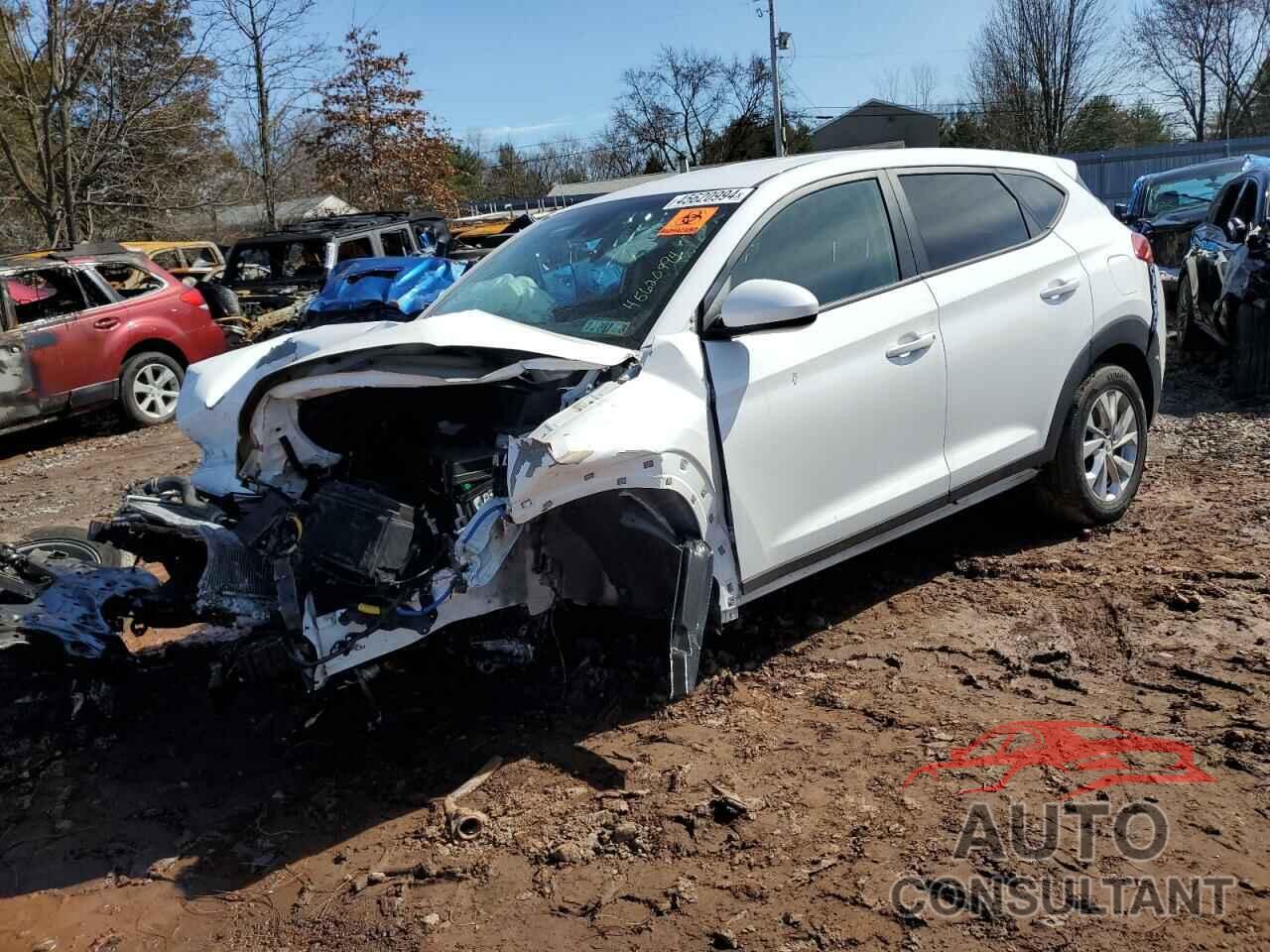 HYUNDAI TUCSON 2019 - KM8J23A42KU051542