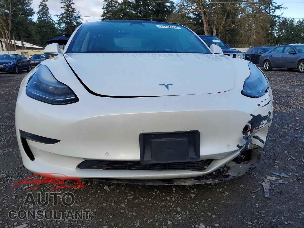 TESLA MODEL 3 2019 - 5YJ3E1EA6KF416659