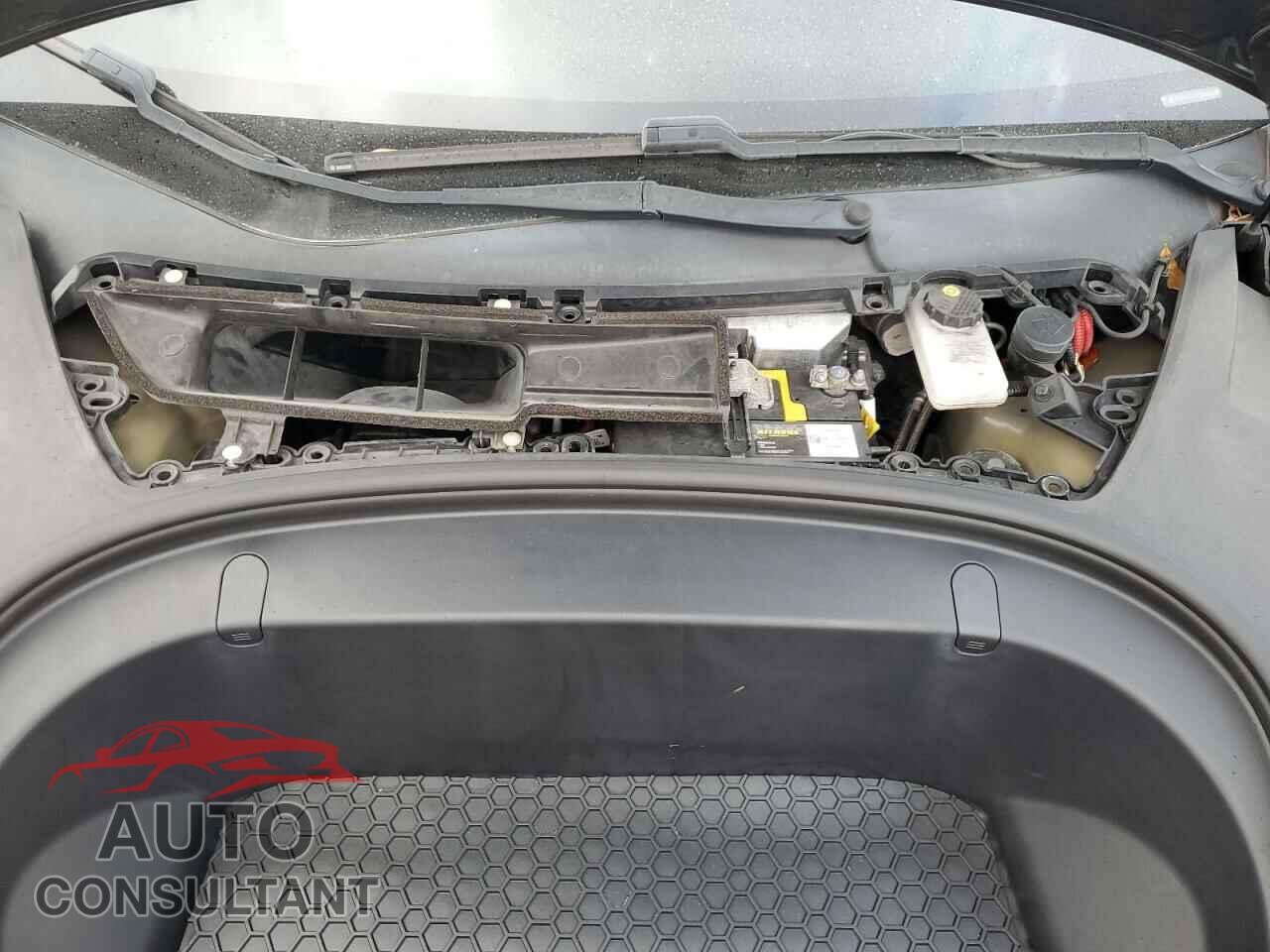 TESLA MODEL 3 2019 - 5YJ3E1EA2KF362406