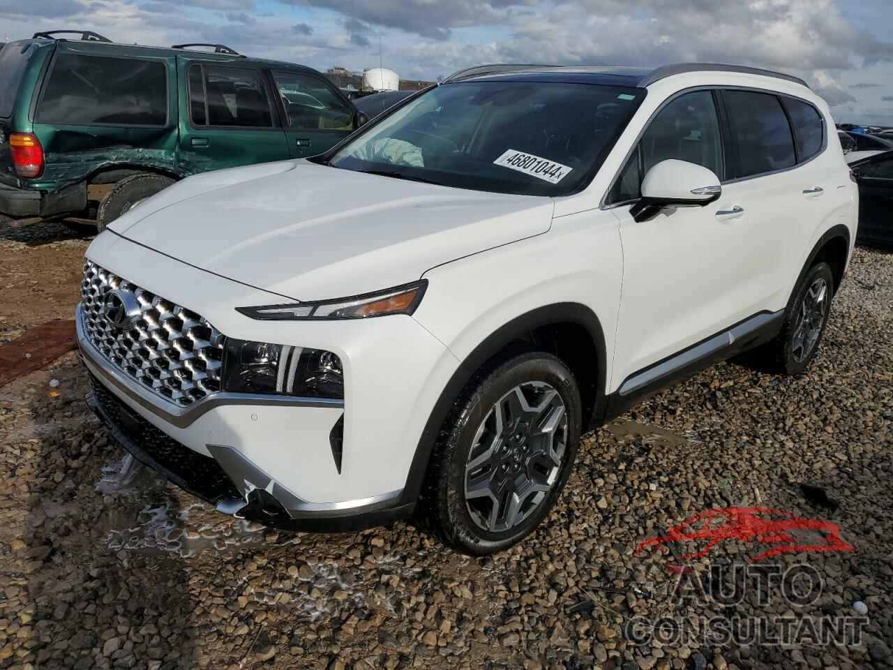 HYUNDAI SANTA FE 2021 - KM8S5DA19MU006558