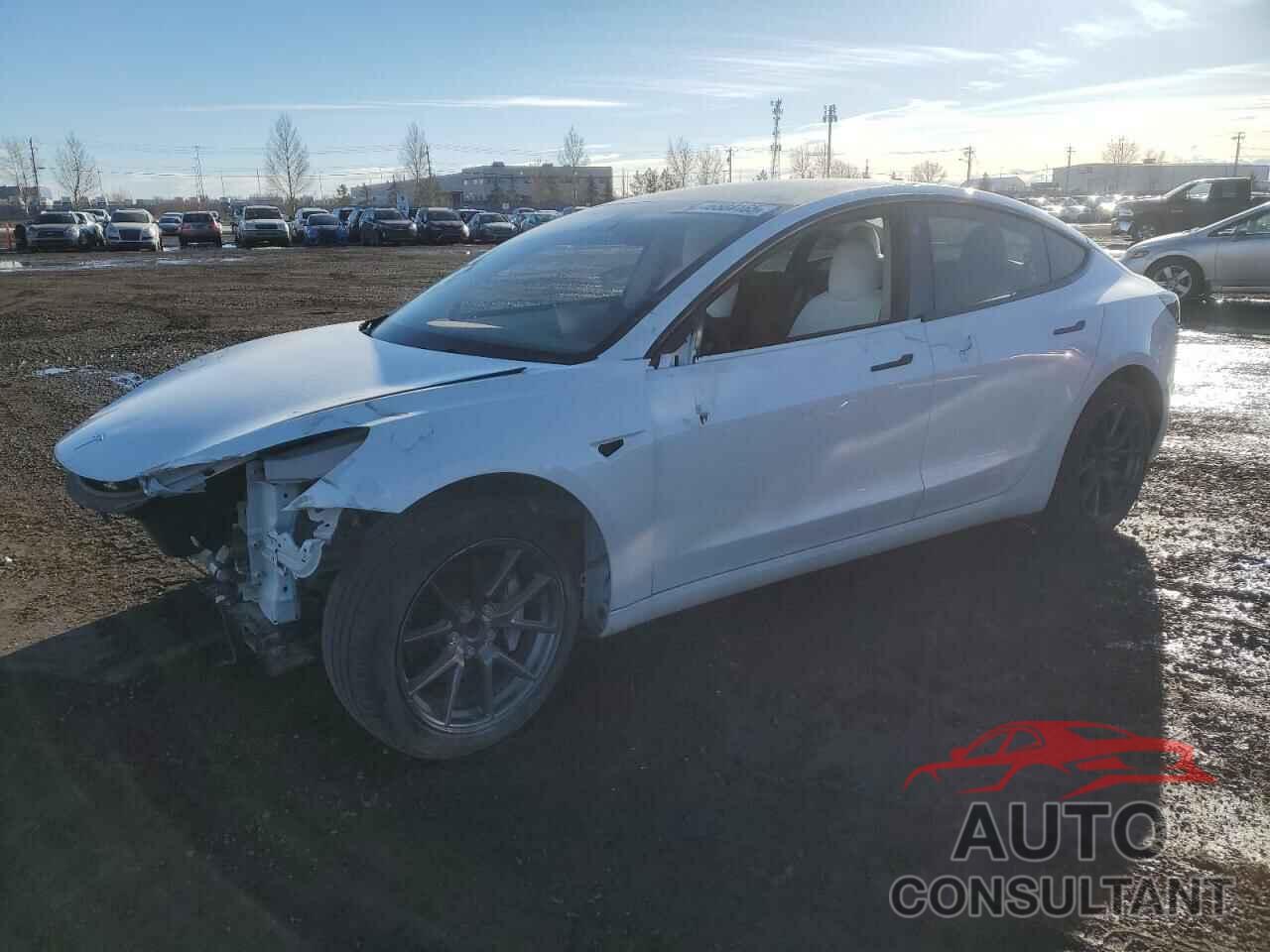 TESLA MODEL 3 2020 - 5YJ3E1EA3NF361026