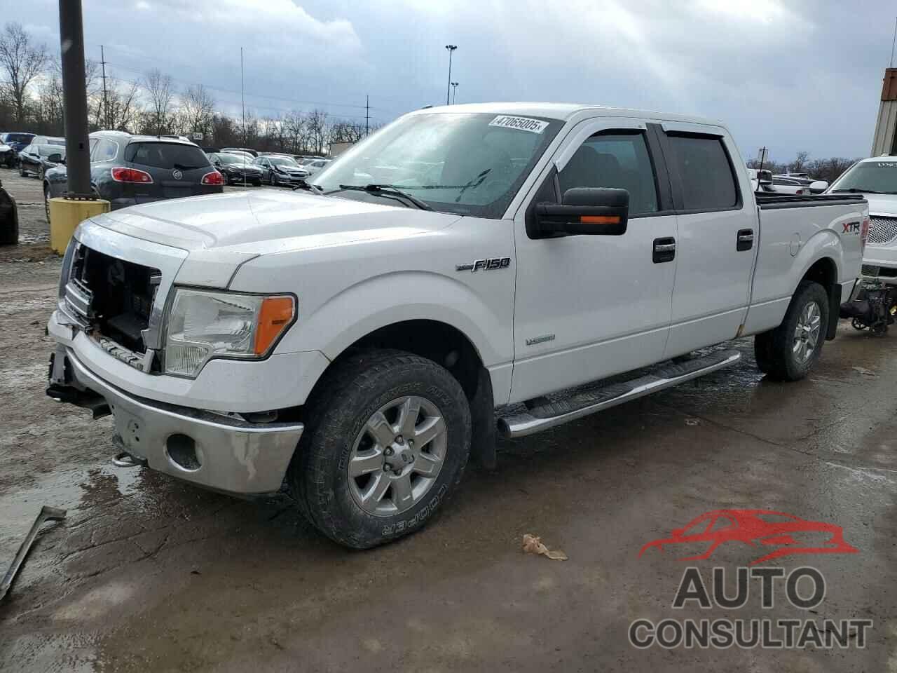 FORD F-150 2014 - 1FTFW1ET6EKD86811