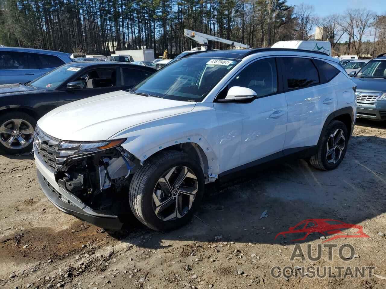 HYUNDAI TUCSON 2023 - KM8JFCA13PU132681