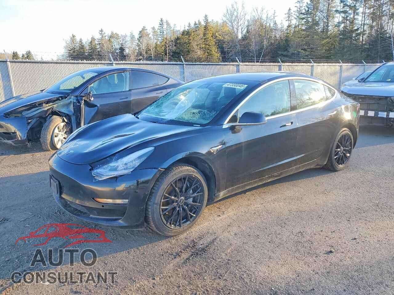 TESLA MODEL 3 2019 - 5YJ3E1EA3KF362012