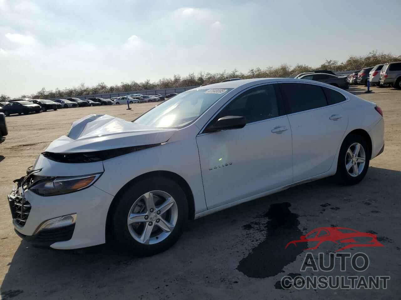CHEVROLET MALIBU 2020 - 1G1ZB5ST4LF134932
