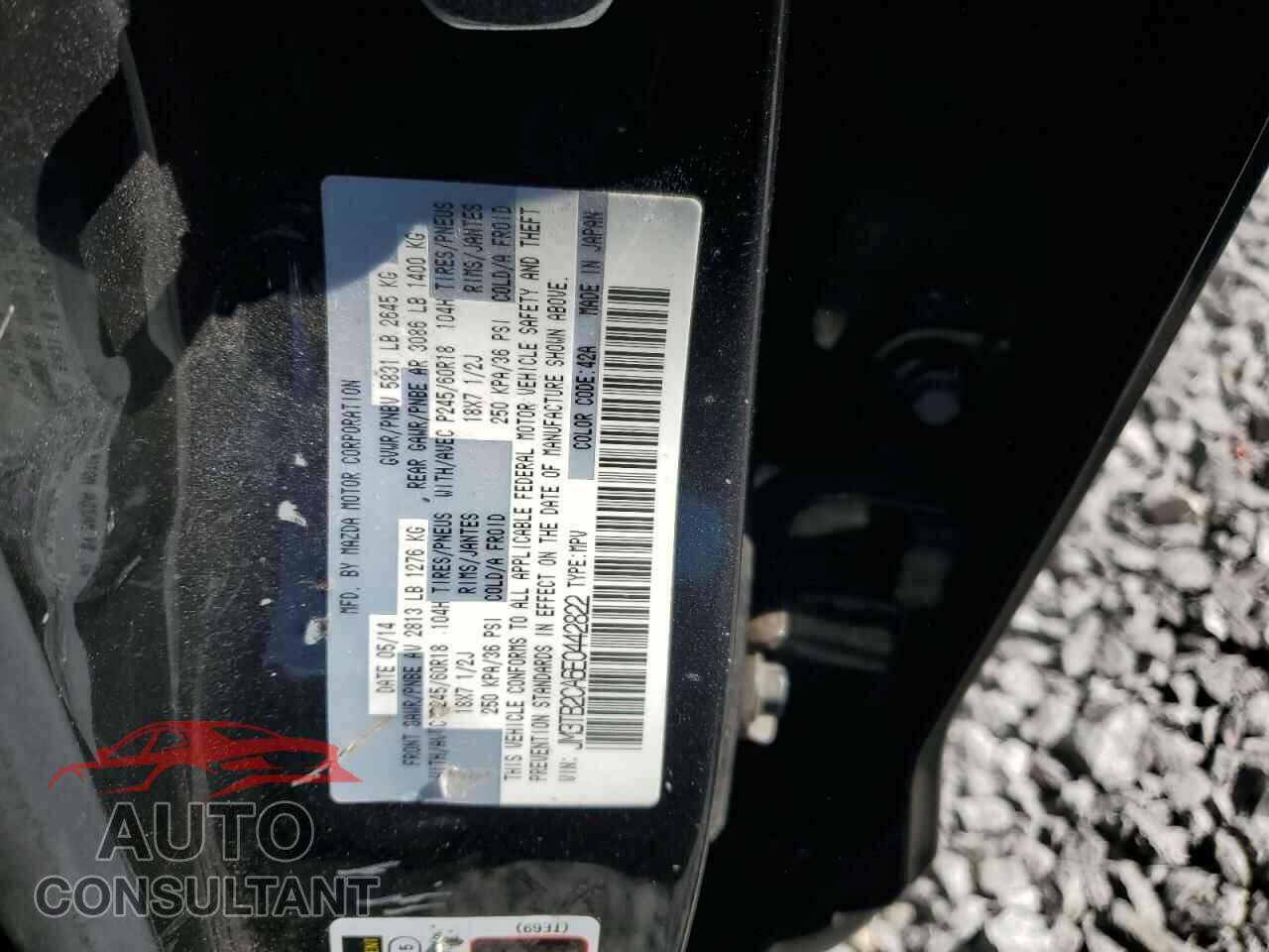 MAZDA CX-9 2014 - JM3TB2CA6E0442822