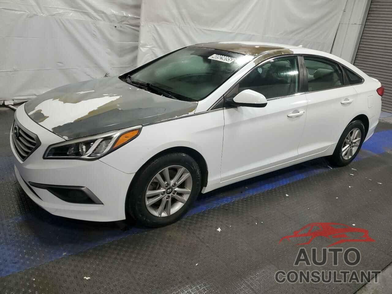 HYUNDAI SONATA 2017 - 5NPE24AF5HH452941