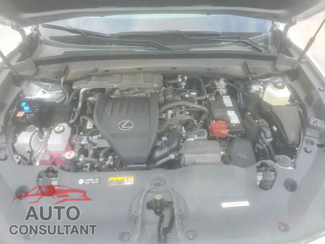 LEXUS UNKNOWN 2025 - 5TDAAAA6XSS015437