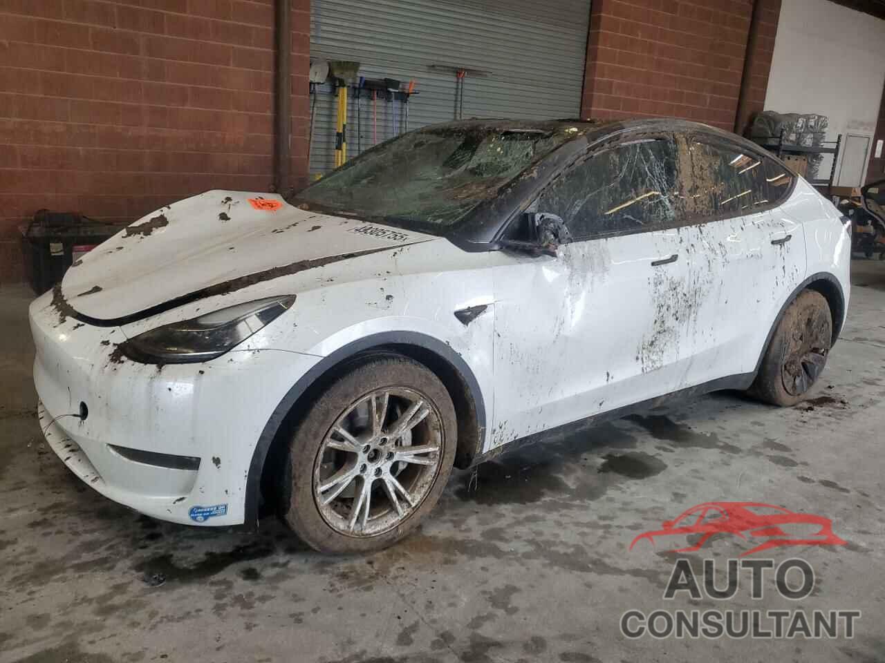 TESLA MODEL Y 2021 - 5YJYGDEE4MF196641