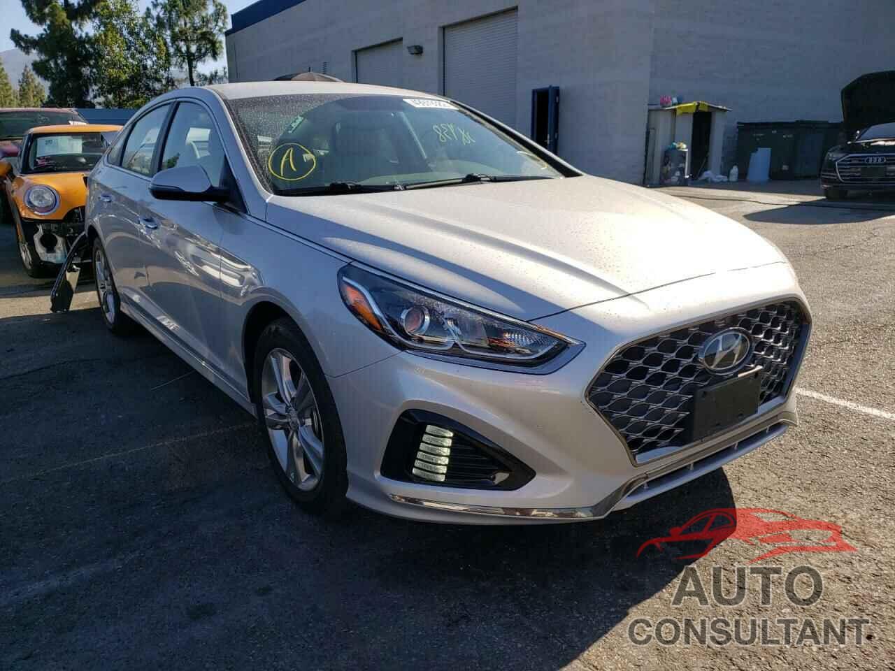 HYUNDAI SONATA 2019 - 5NPE34AFXKH791523