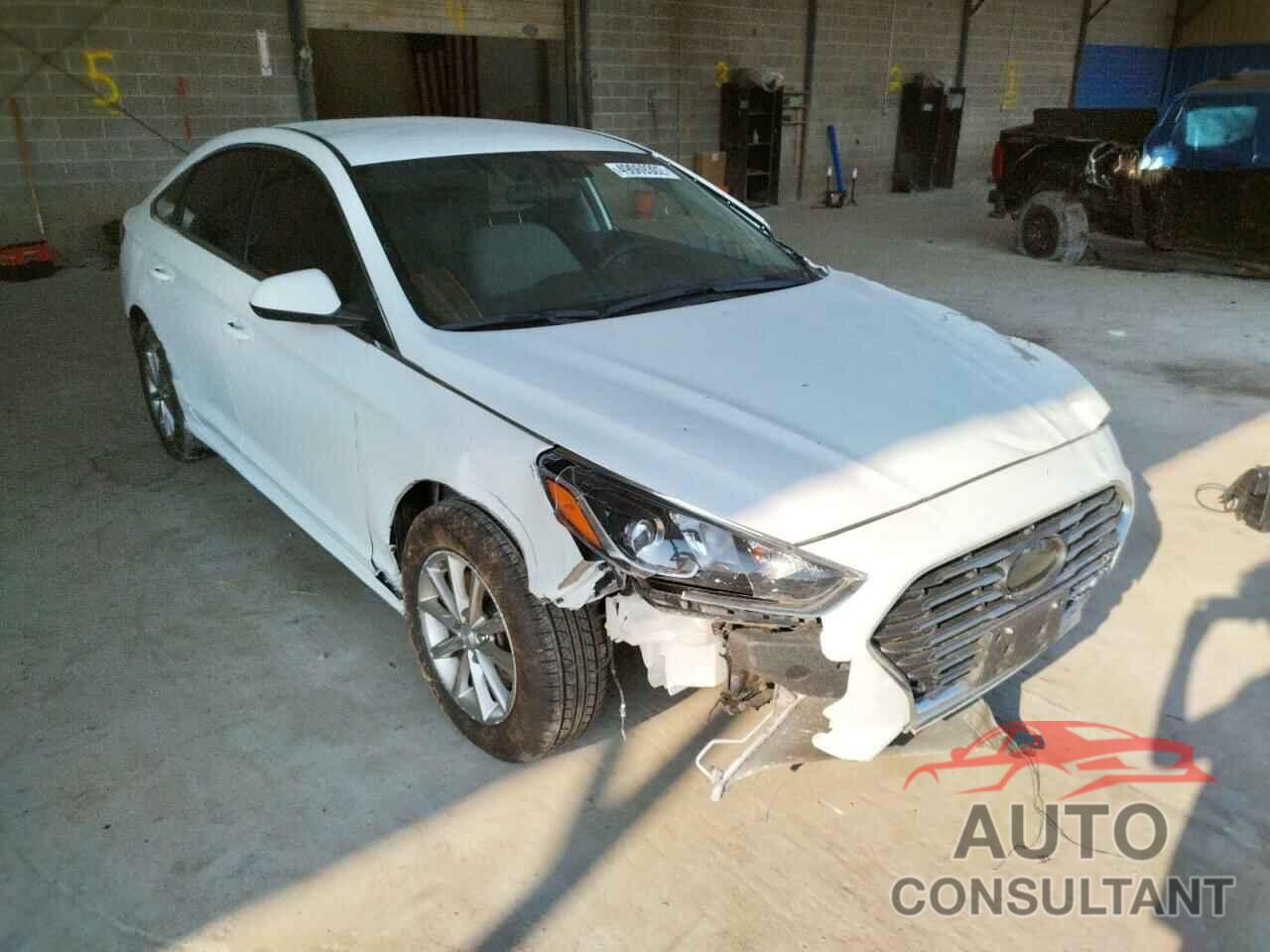 HYUNDAI SONATA 2019 - 5NPE24AF2KH790109