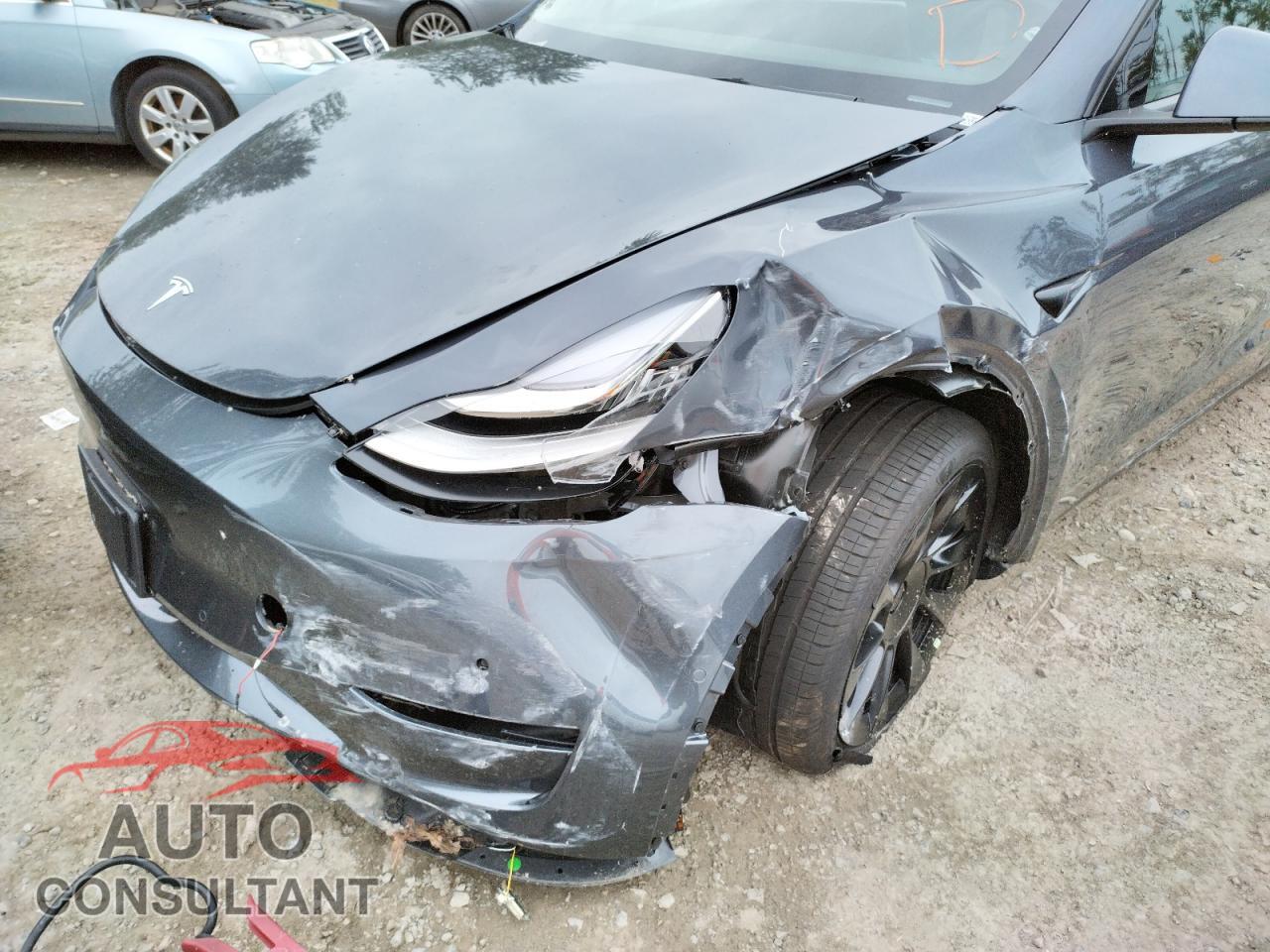 TESLA MODEL Y 2022 - 7SAYGDEE9NF386357