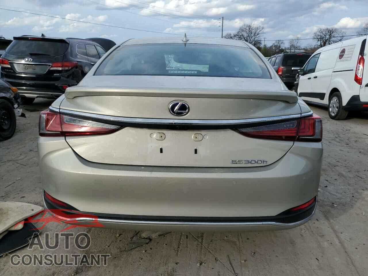 LEXUS ES300 2022 - 58ADA1C19NU014203