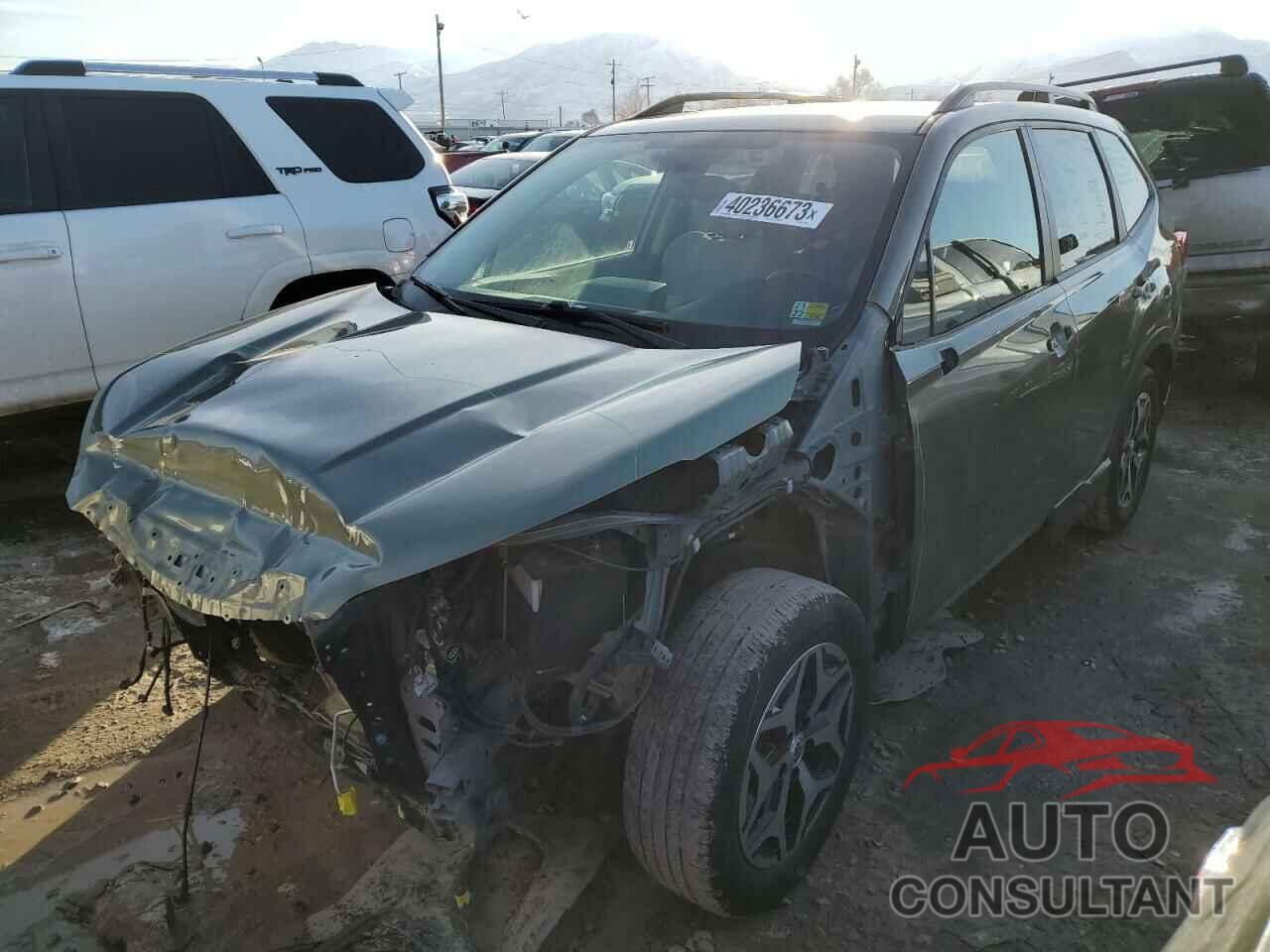 SUBARU FORESTER 2021 - JF2SKAFC9MH565138
