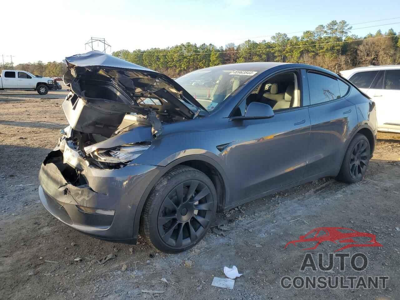 TESLA MODEL Y 2023 - 7SAYGDEE0PA032369