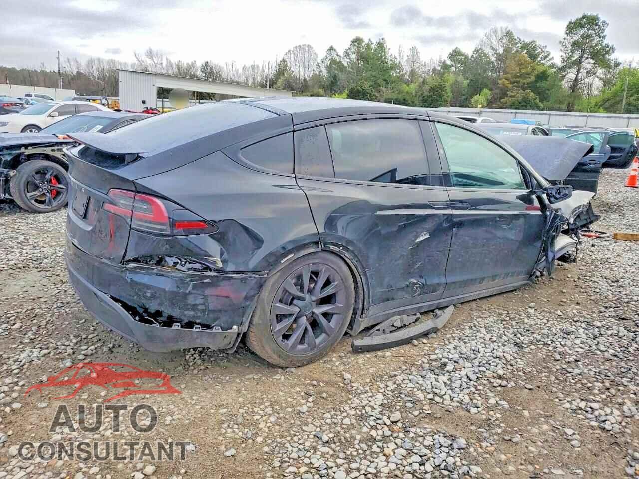 TESLA MODEL X 2024 - 7SAXCAE56RF446848