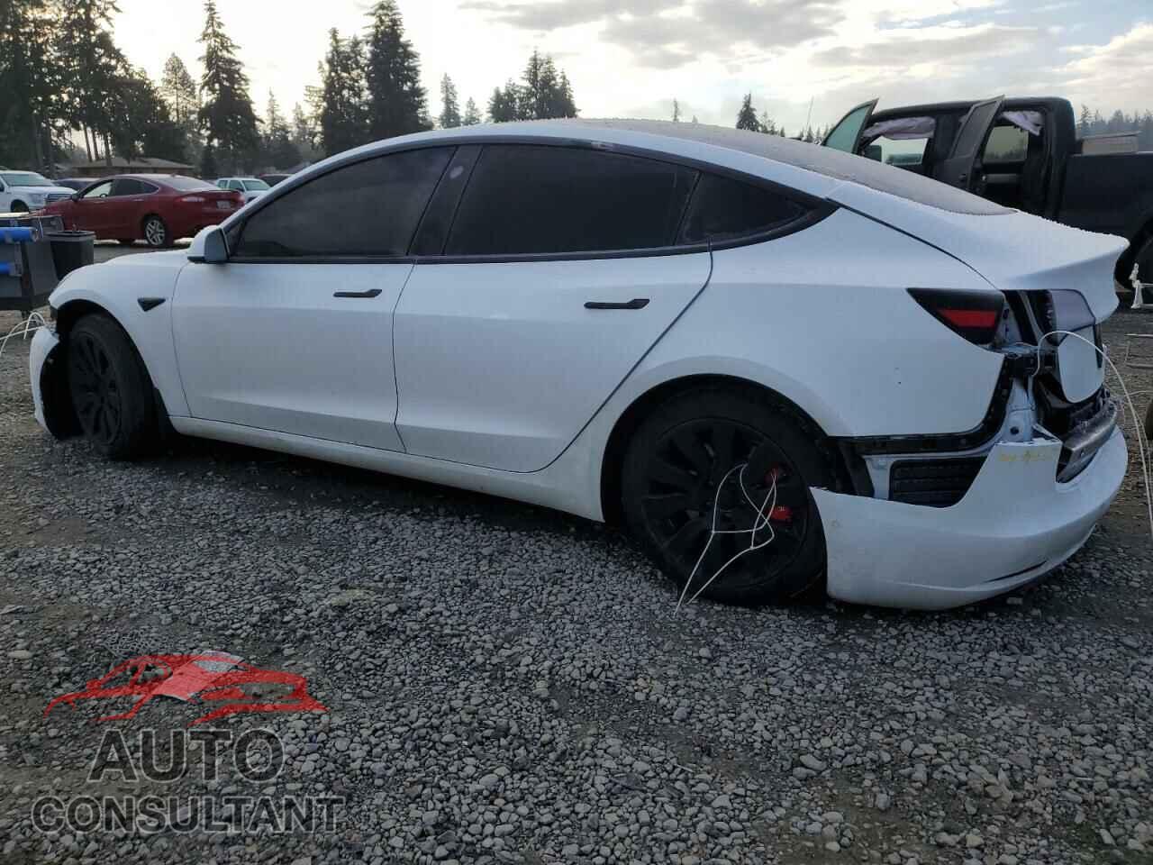 TESLA MODEL 3 2021 - 5YJ3E1EB3MF927628