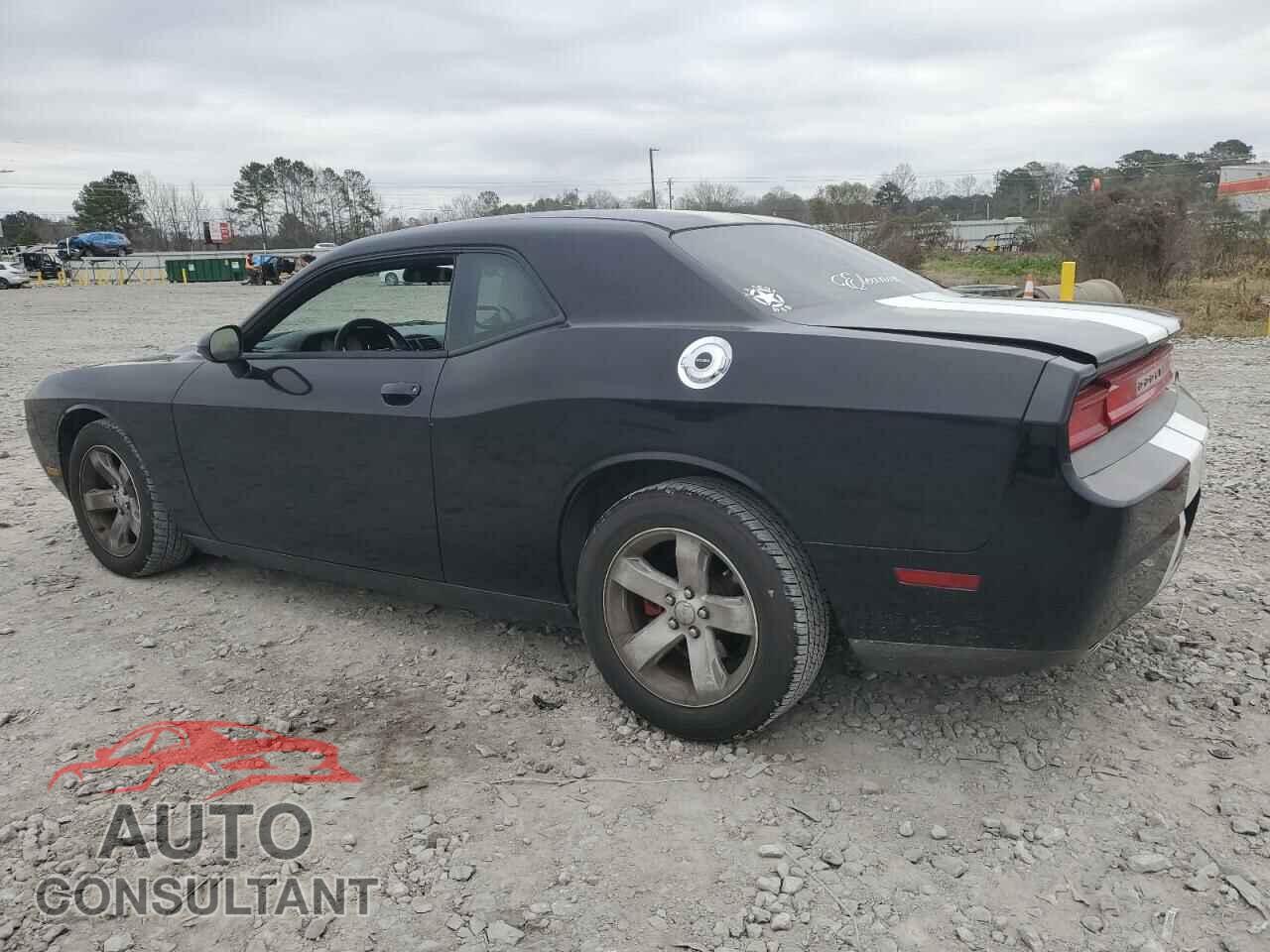 DODGE CHALLENGER 2013 - 2C3CDYAG2DH719221