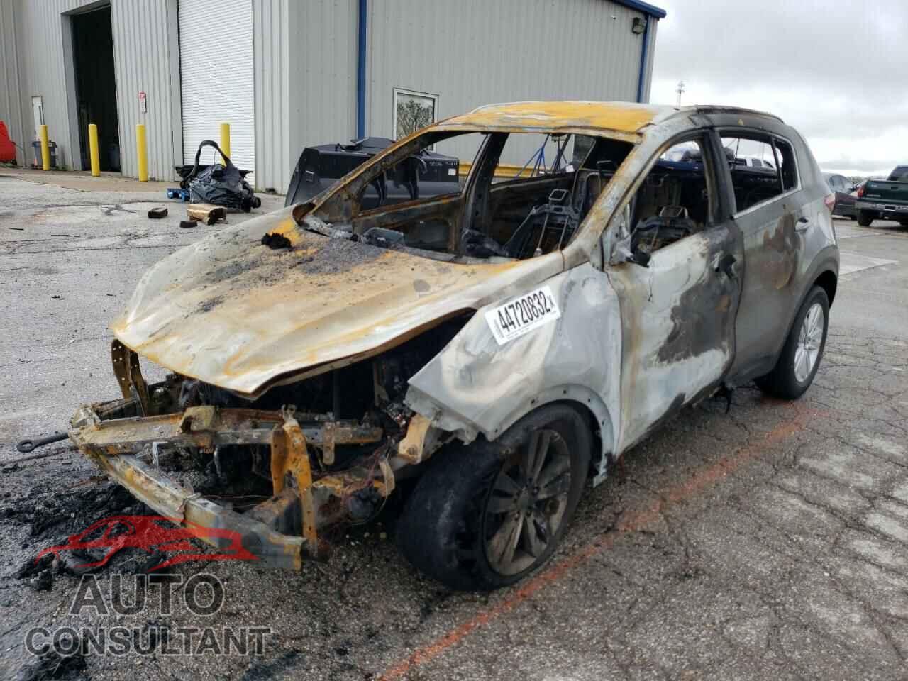 KIA SPORTAGE 2017 - KNDPM3AC5H7245604
