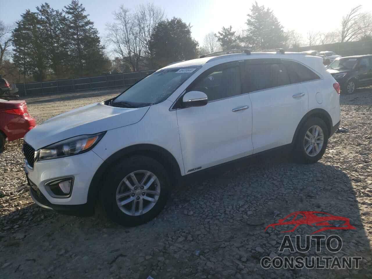 KIA SORENTO 2016 - 5XYPHDA56GG120768