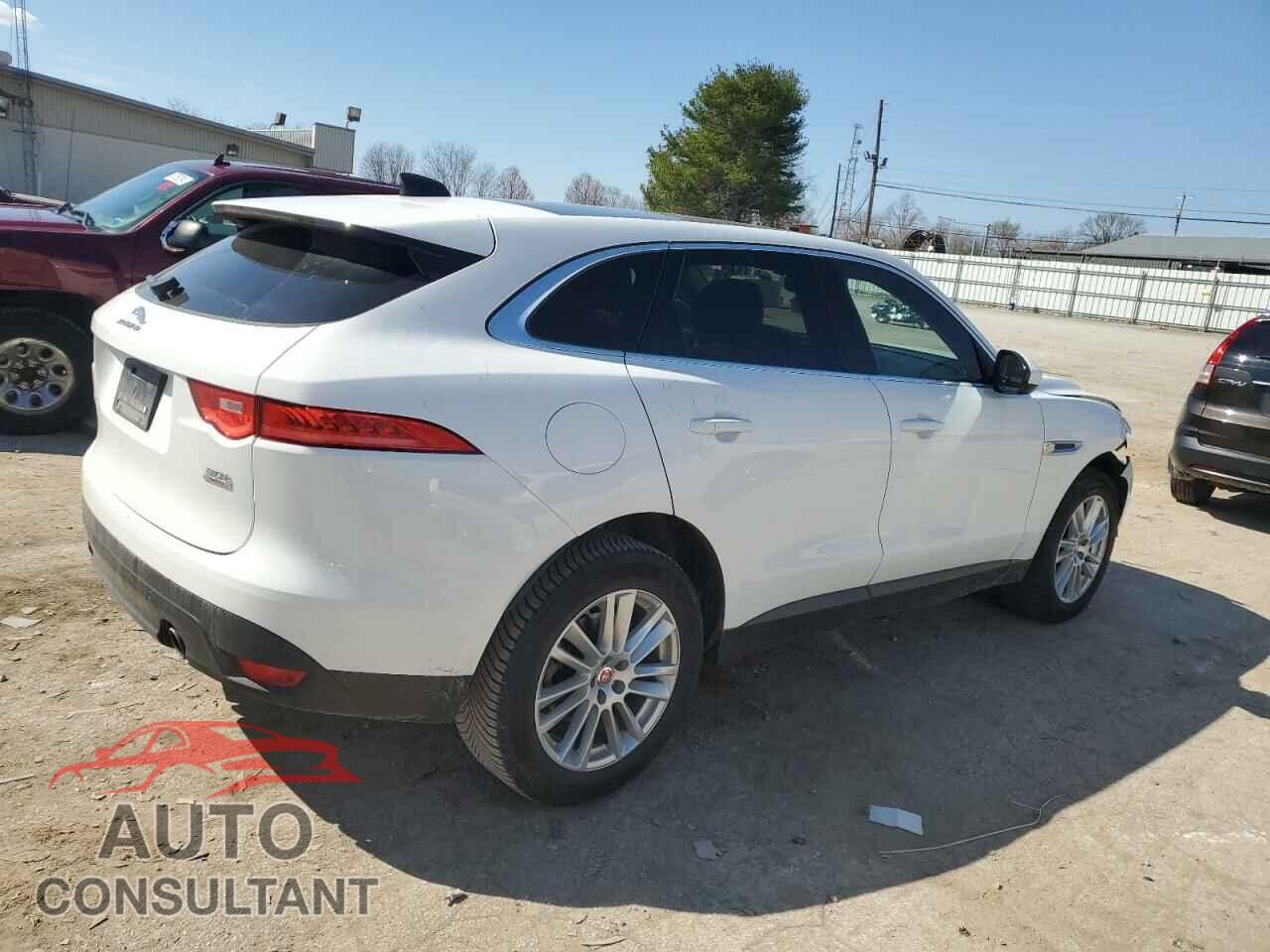 JAGUAR F-PACE 2020 - SADCK2GX2LA641448