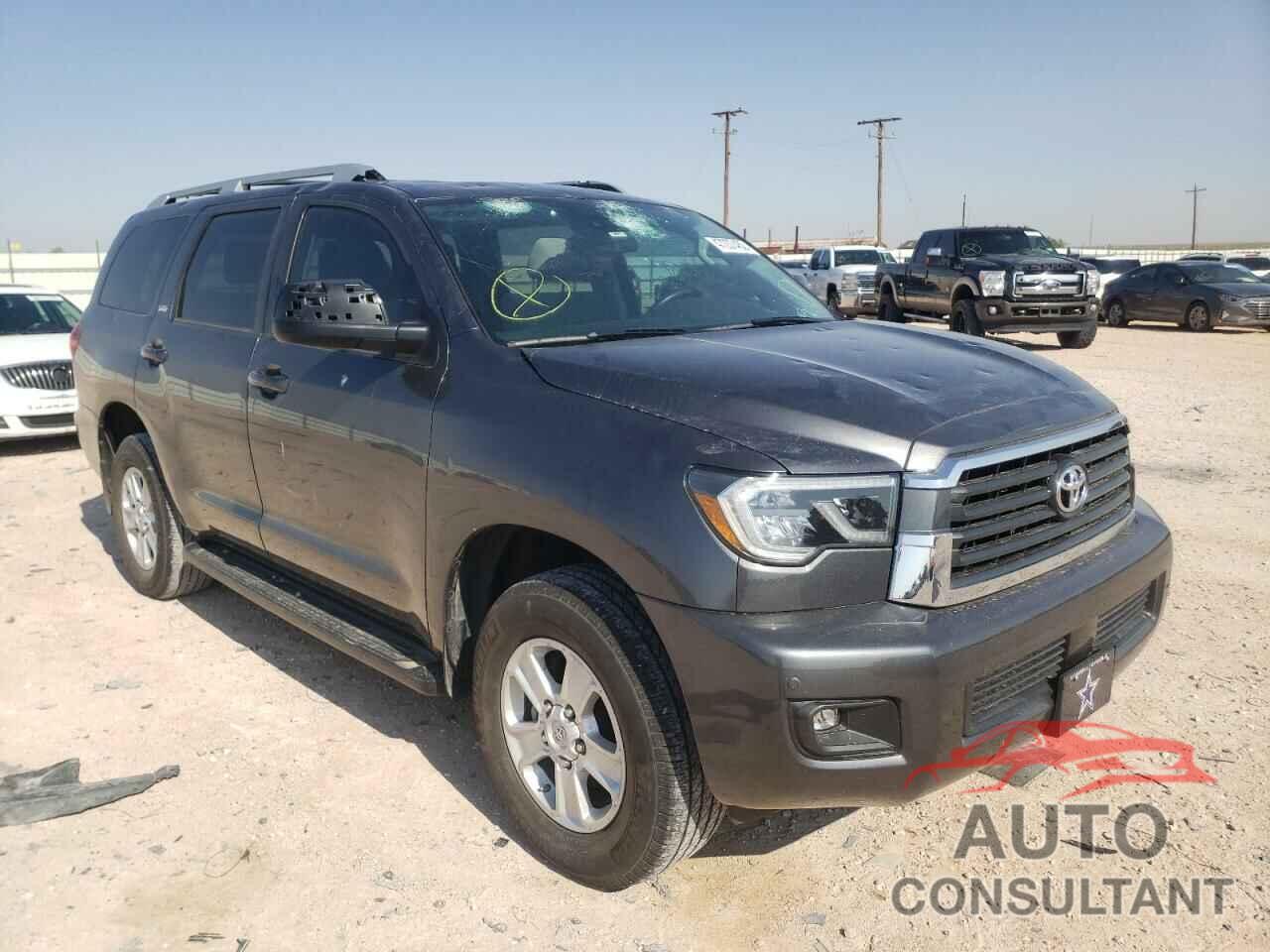 TOYOTA SEQUOIA 2019 - 5TDBY5G17KS166626