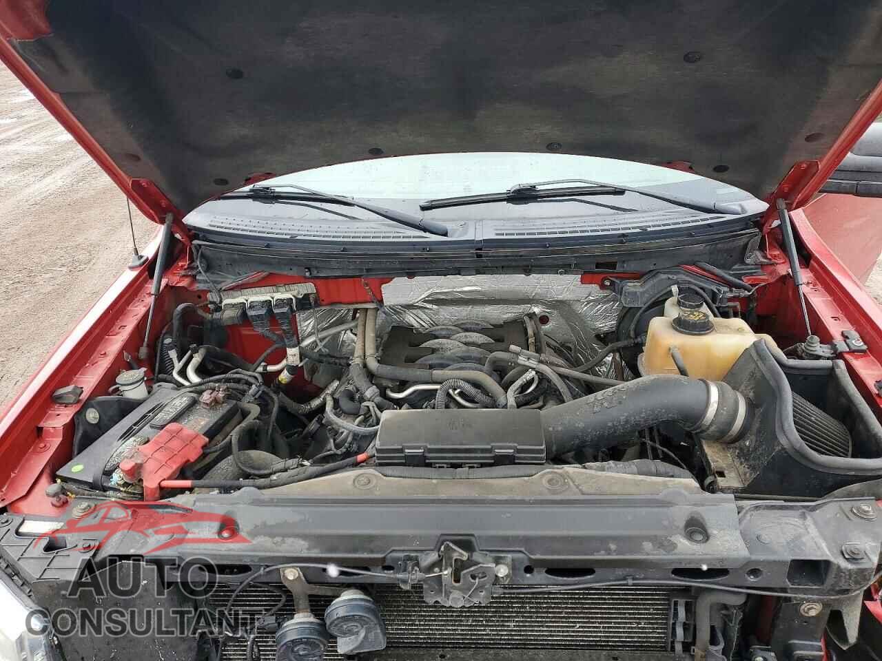 FORD F150 2011 - 1FTFX1EF6BFA36638