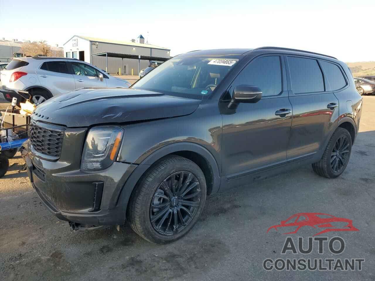 KIA TELLURIDE 2022 - 5XYP6DHCXNG244422