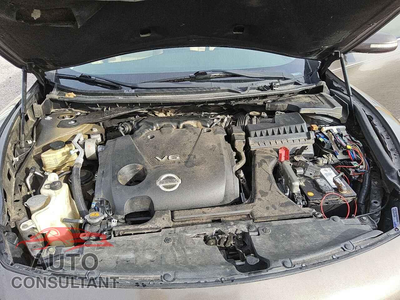 NISSAN MAXIMA 2013 - 1N4AA5AP9DC825409