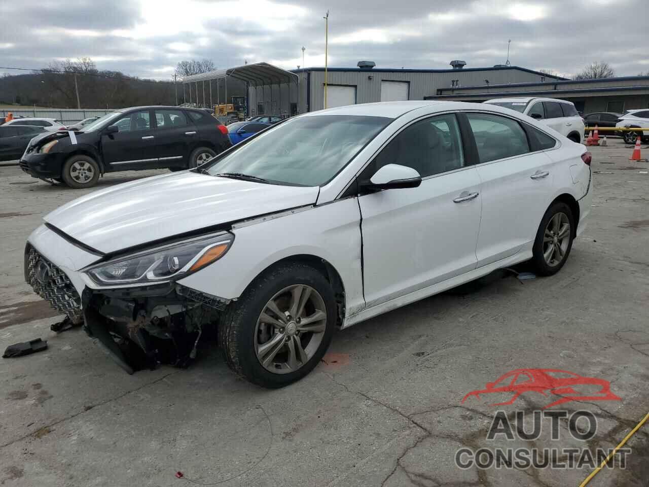 HYUNDAI SONATA 2019 - 5NPE34AF7KH778793