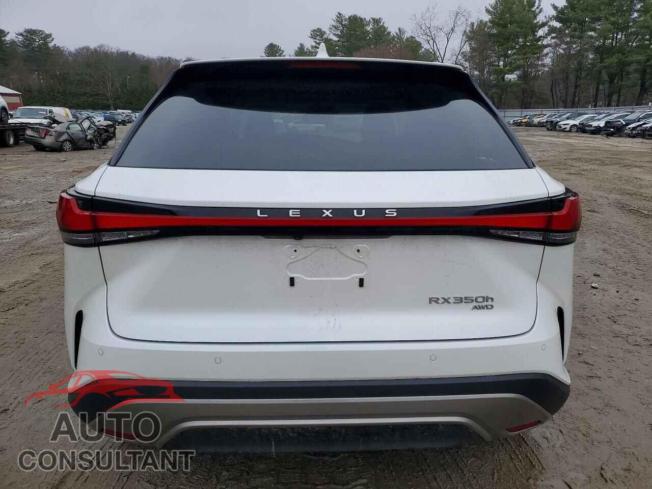 LEXUS UNKNOWN 2024 - 2T2BBMCA3RC030459
