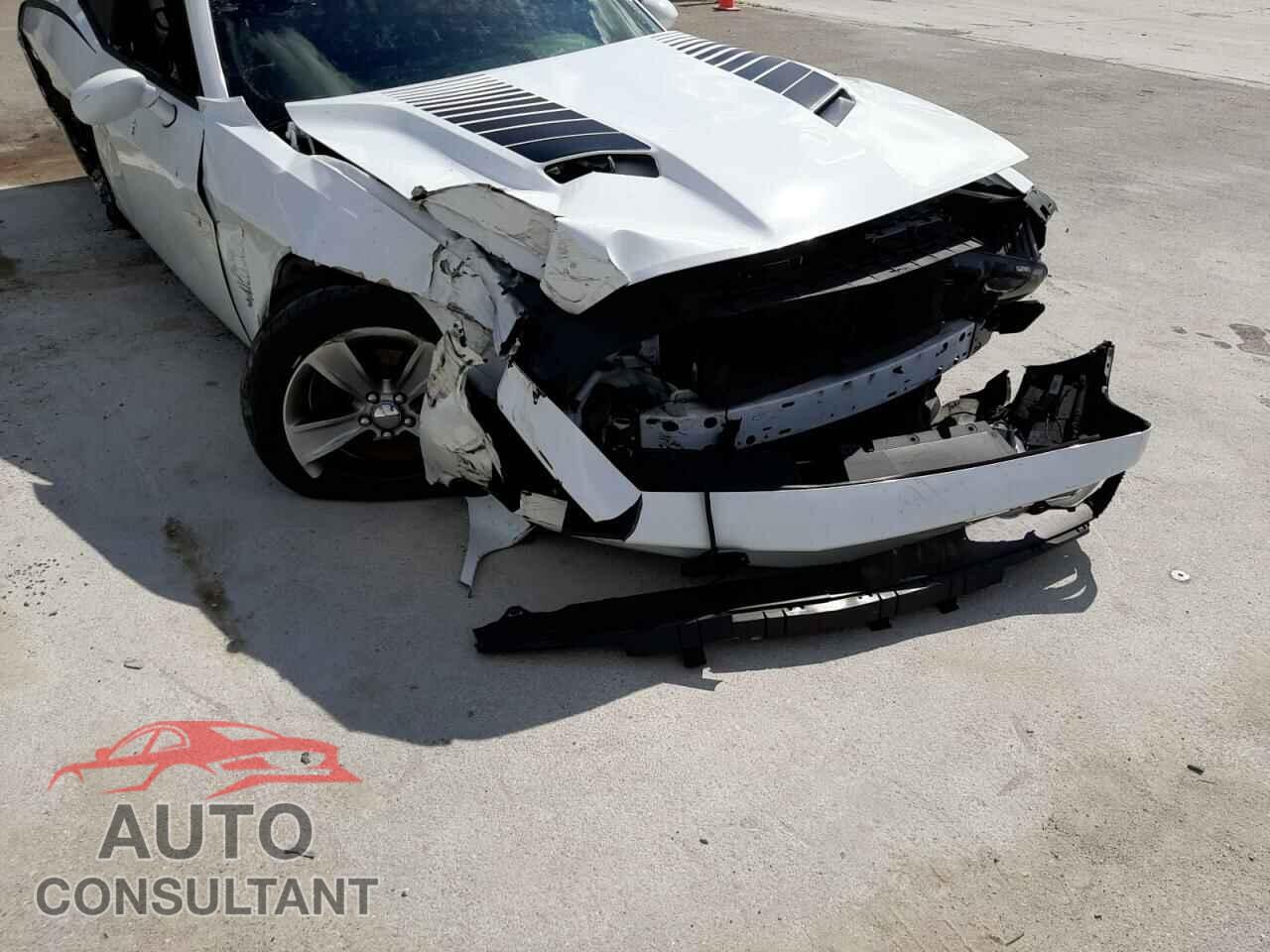 DODGE CHALLENGER 2017 - 2C3CDZAG2HH624699