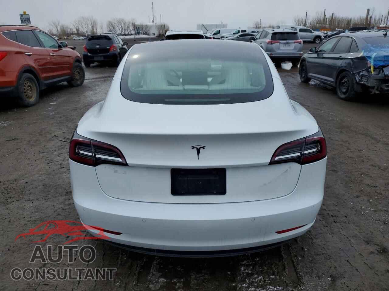 TESLA MODEL 3 2019 - 5YJ3E1EA2KF419462