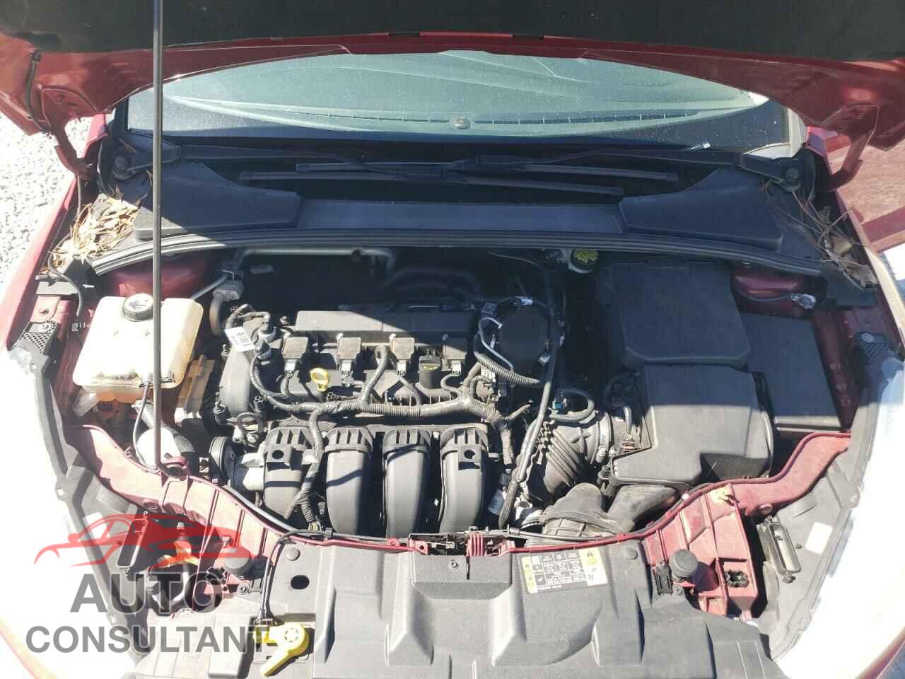FORD FOCUS 2015 - 1FADP3F28FL344910