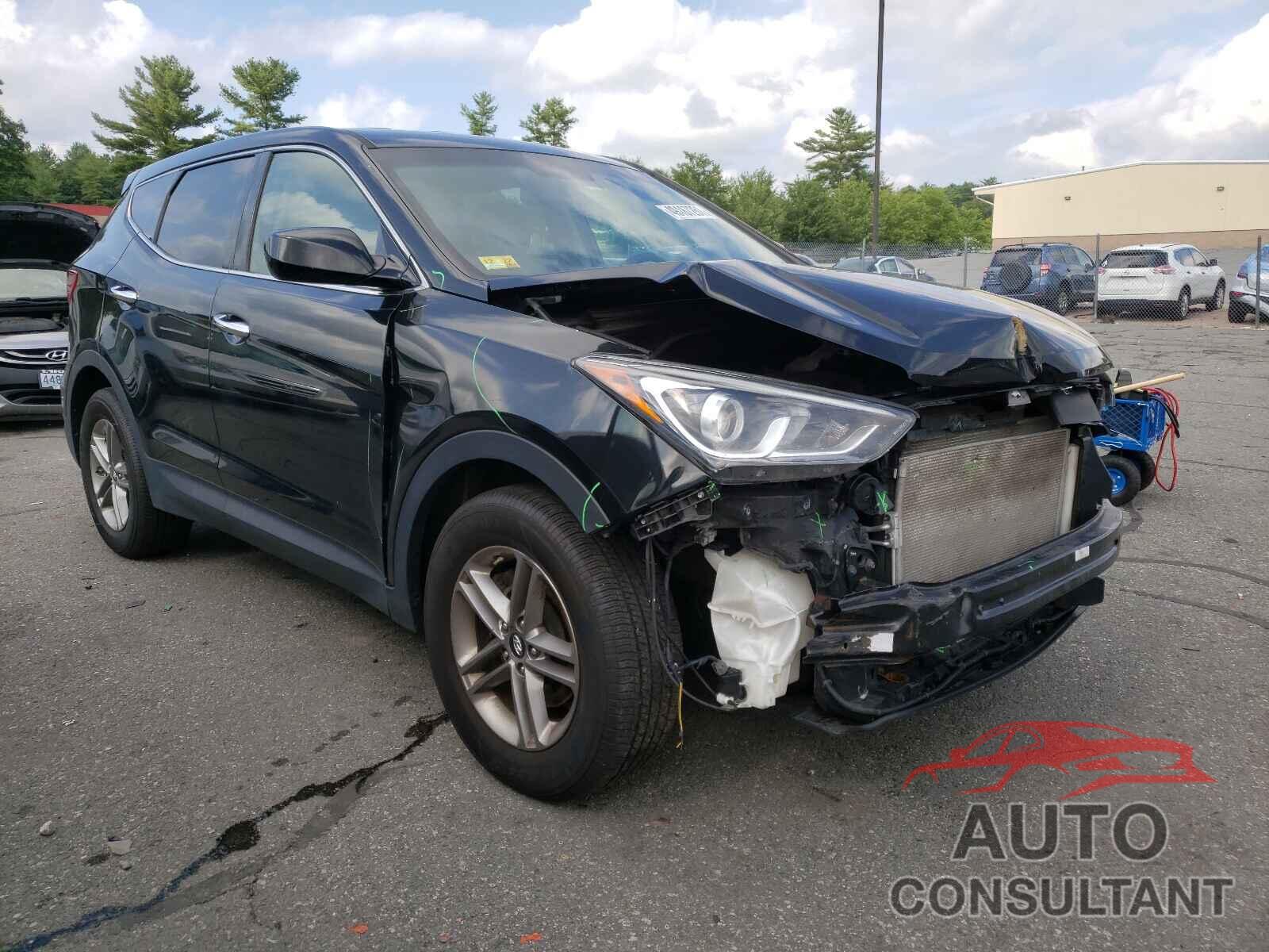 HYUNDAI SANTA FE 2017 - 5NMZTDLB8HH028286