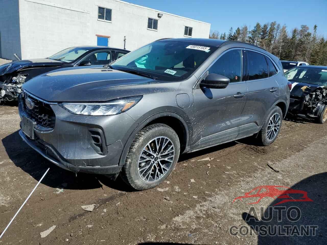 FORD ESCAPE 2025 - 1FMCU0E12SUA38906