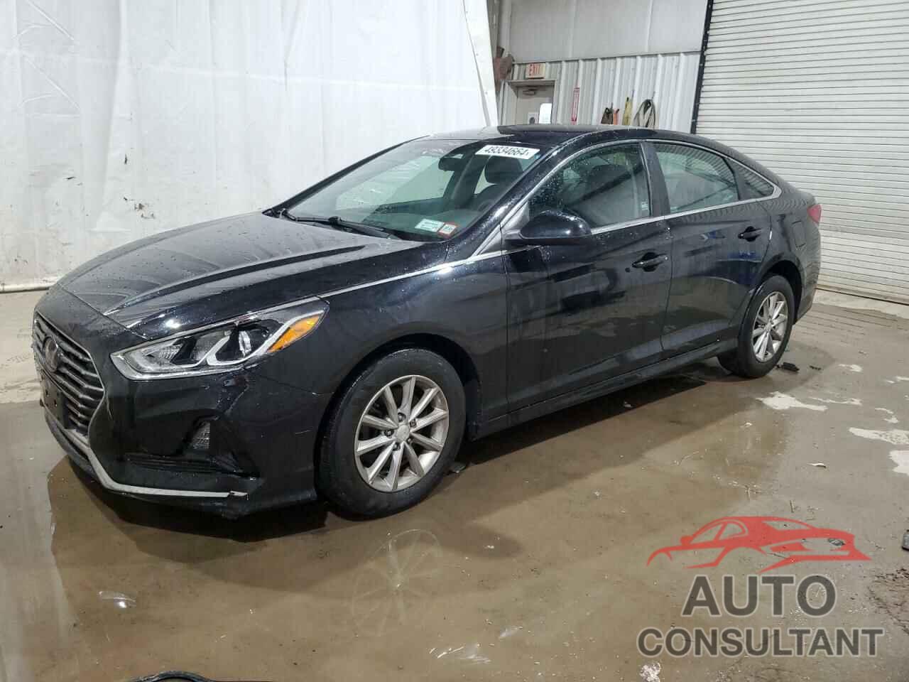 HYUNDAI SONATA 2019 - 5NPE24AF4KH819383