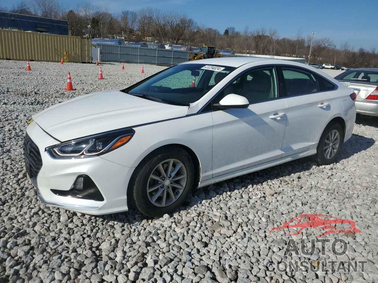 HYUNDAI SONATA 2019 - 5NPE24AF8KH766106