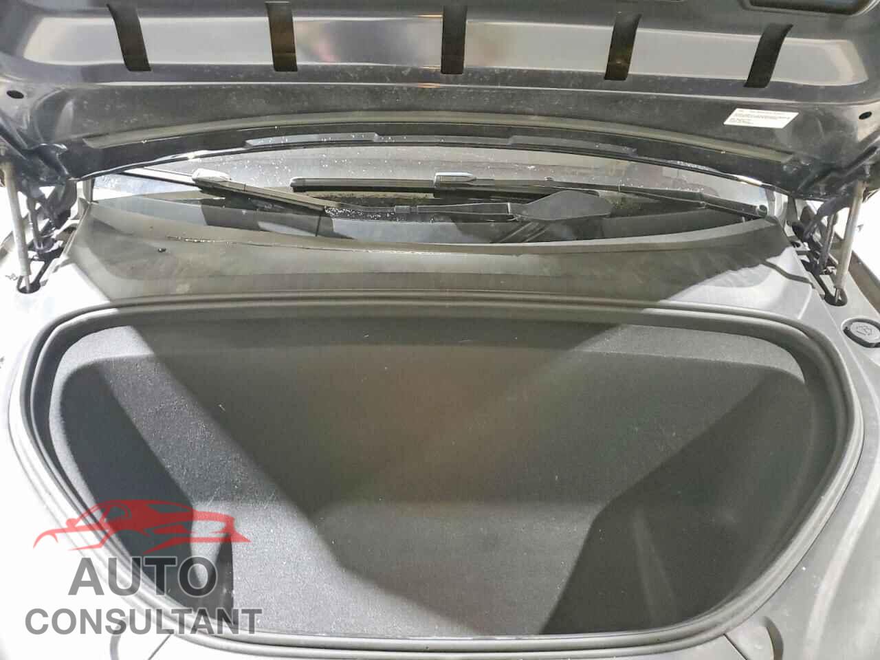 TESLA MODEL X 2023 - 7SAXCAE58PF389582
