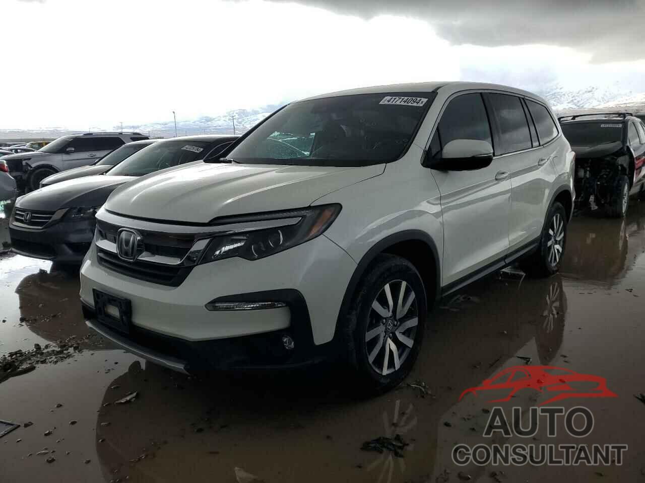 HONDA PILOT 2019 - 5FNYF6H56KB046814