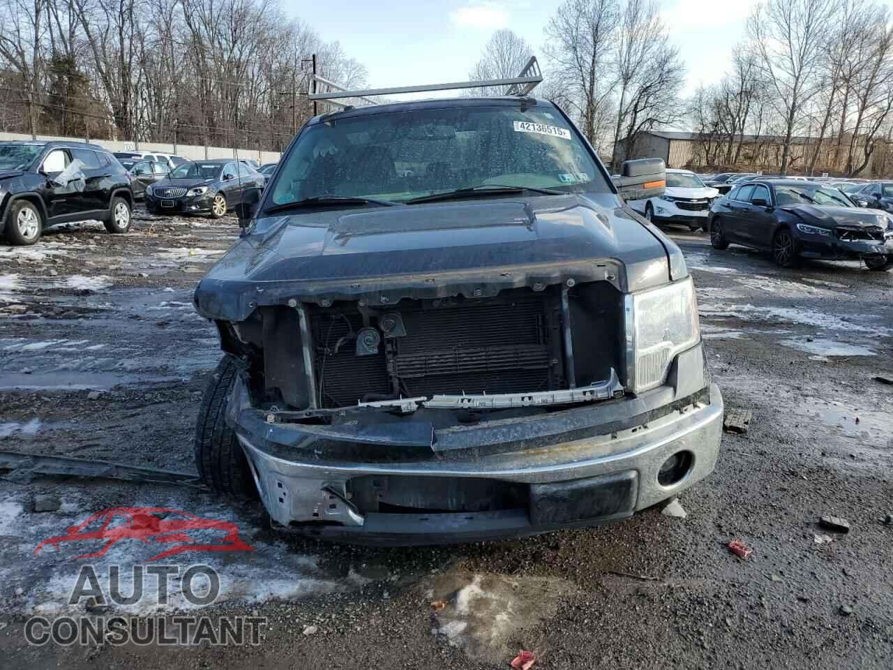FORD F-150 2013 - 1FTEX1CM7DFD51920