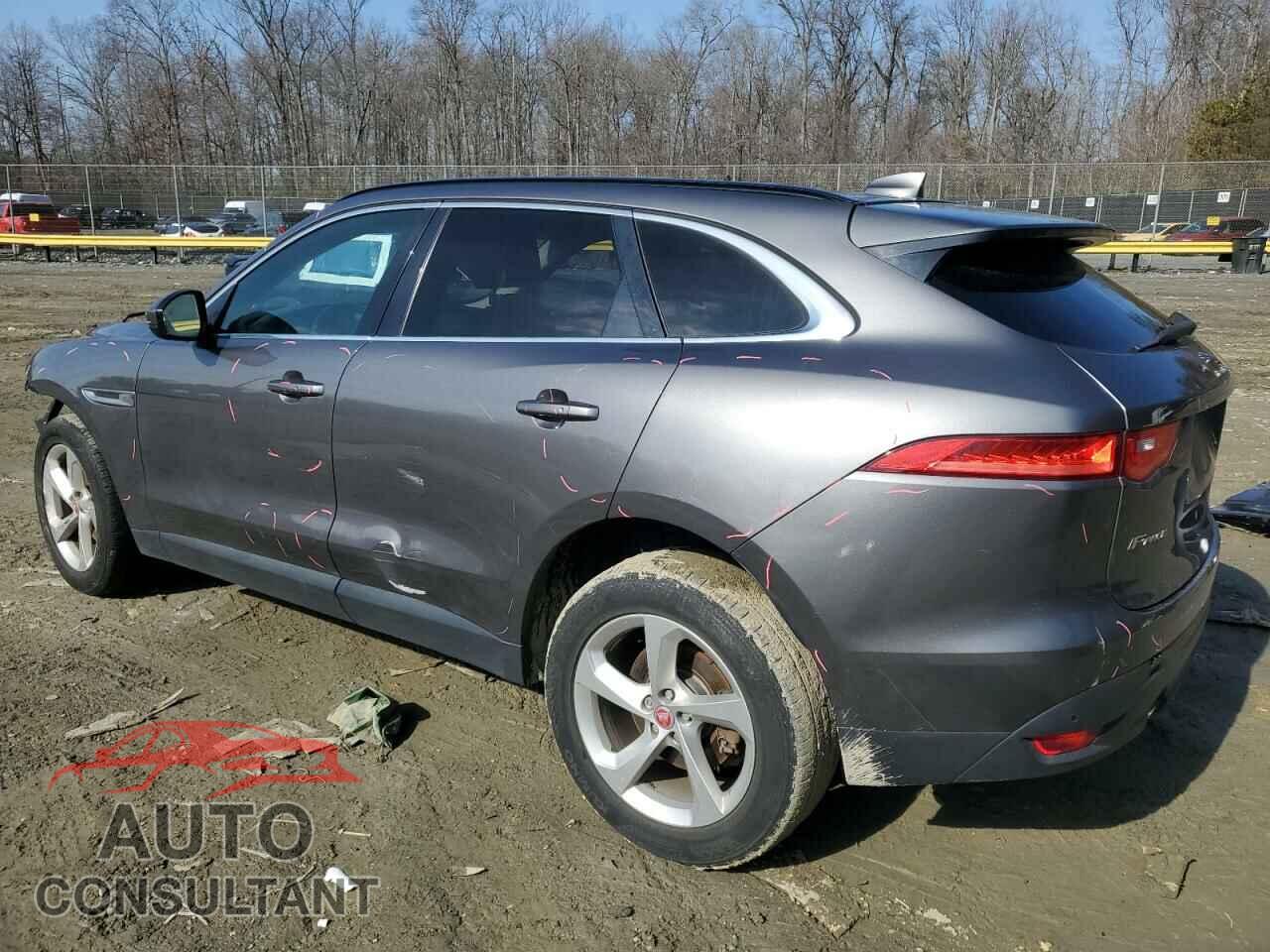 JAGUAR F-PACE 2019 - SADCJ2FX2KA396248