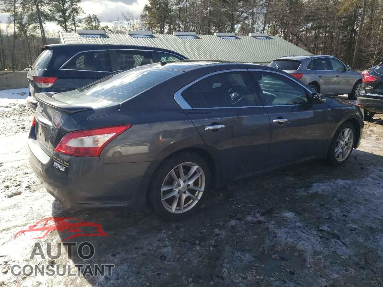 NISSAN MAXIMA 2011 - 1N4AA5AP3BC810692