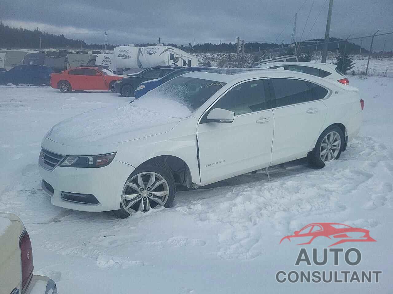CHEVROLET IMPALA 2019 - 2G11Z5S3XK9149242