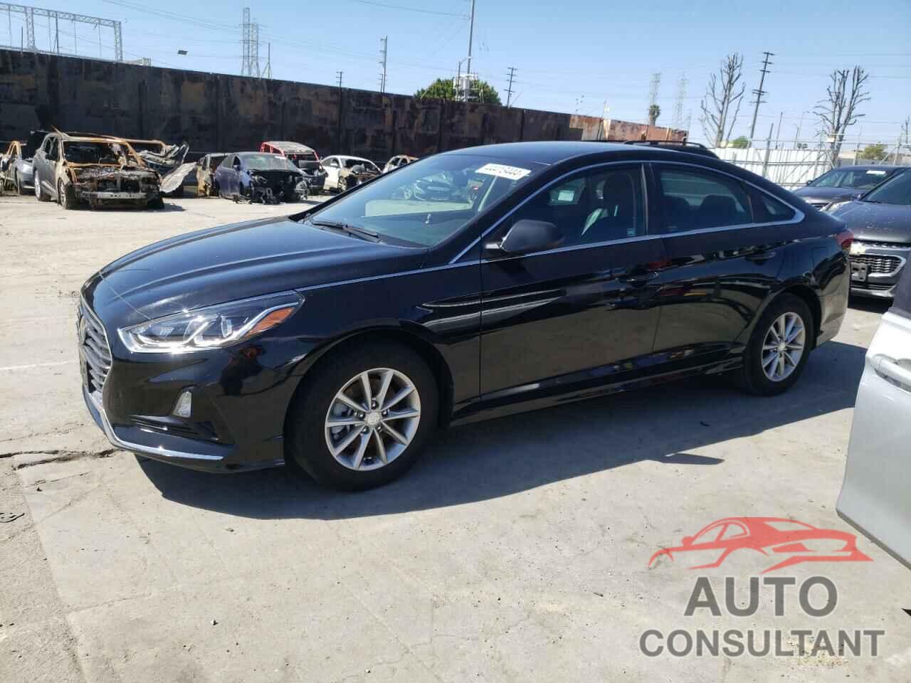 HYUNDAI SONATA 2019 - 5NPE24AF7KH749507