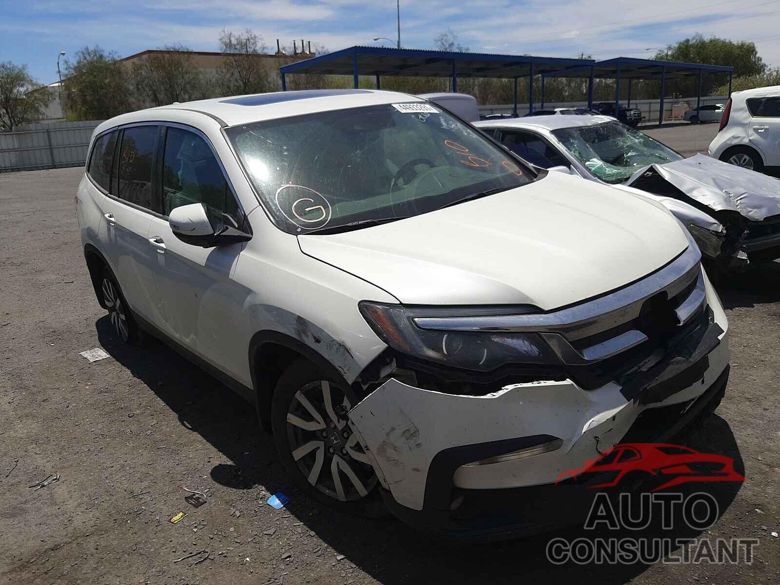 HONDA PILOT 2019 - 5FNYF6H52KB044316