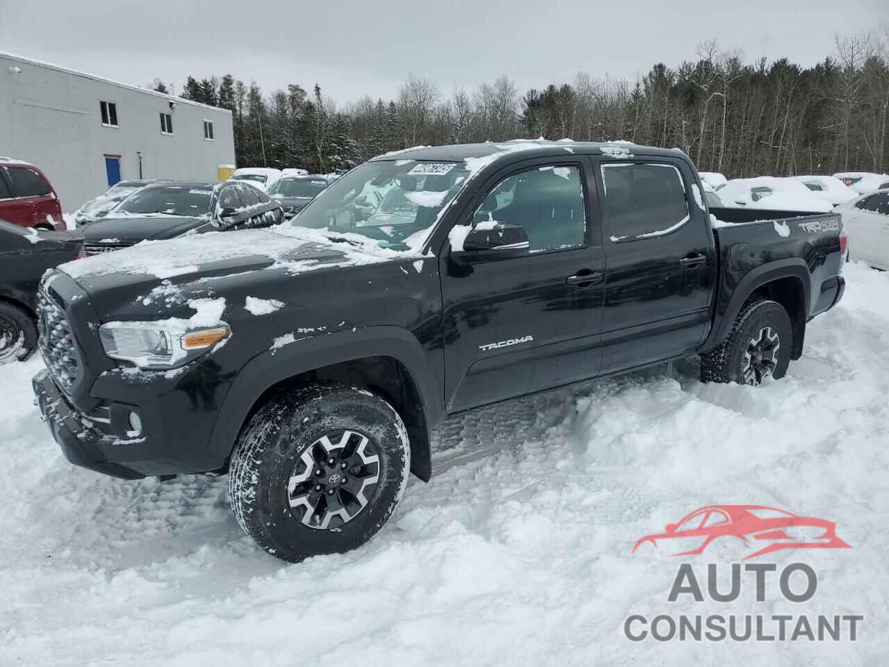 TOYOTA TACOMA 2023 - 3TYCZ5AN6PT141936