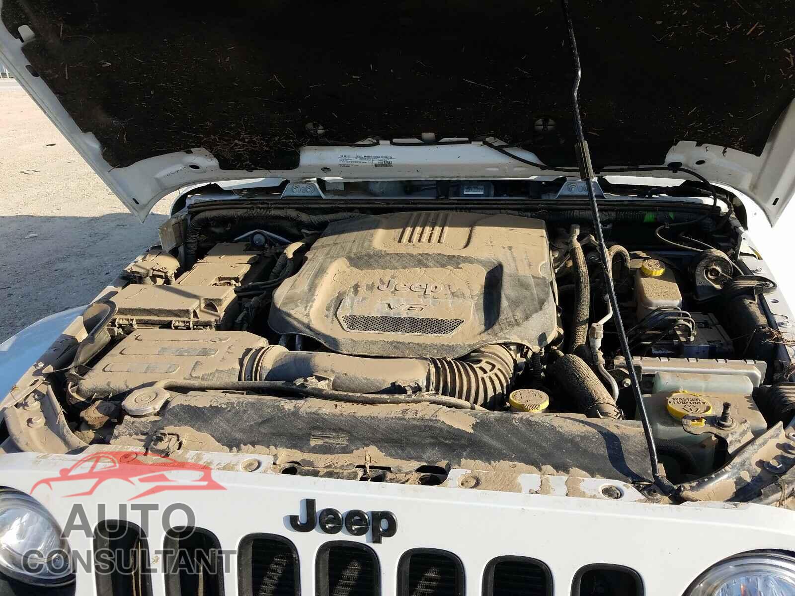JEEP WRANGLER 2017 - 1C4AJWBG3HL566078