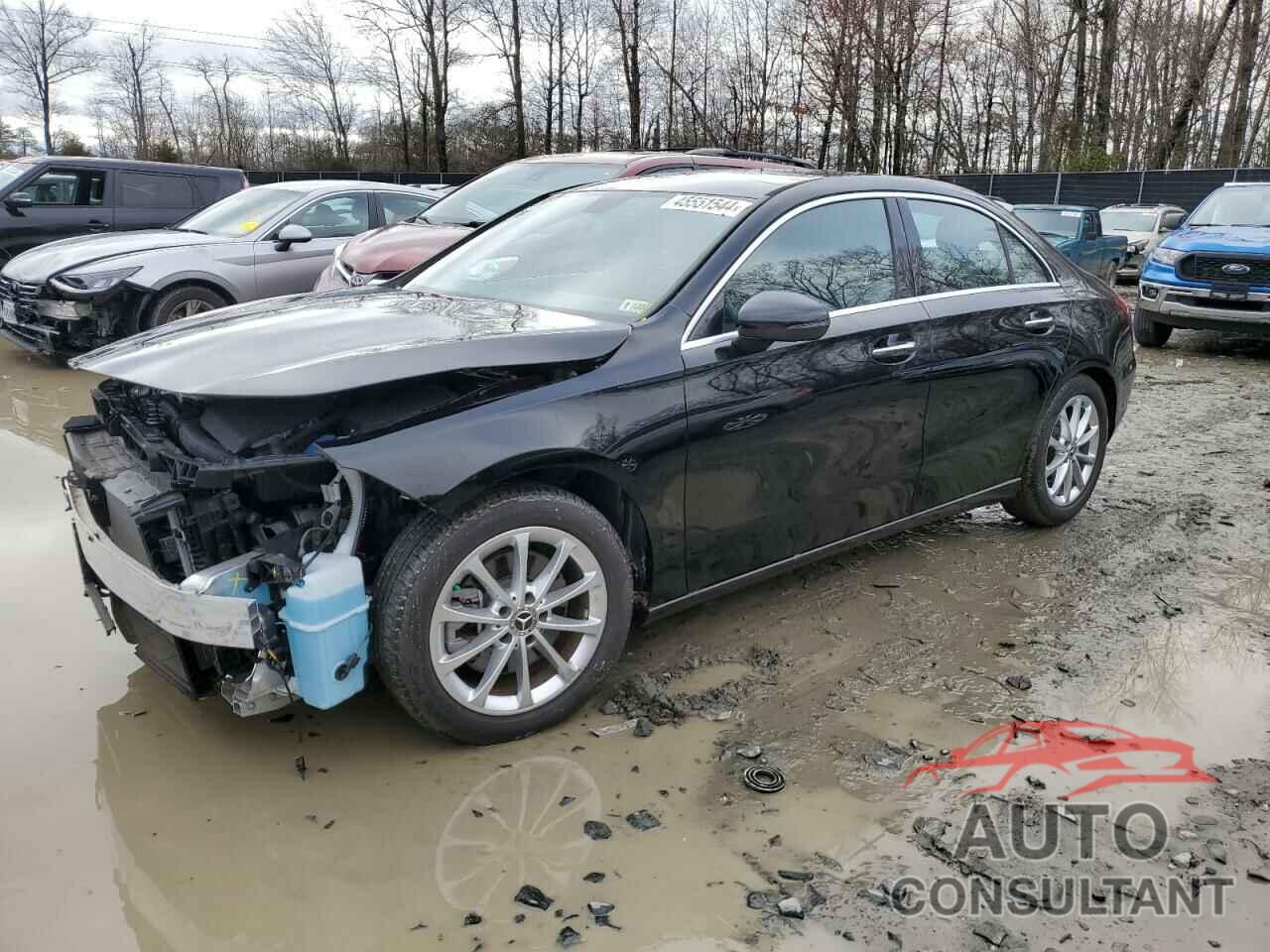 MERCEDES-BENZ A-CLASS 2020 - WDD3G4FB5LW036296