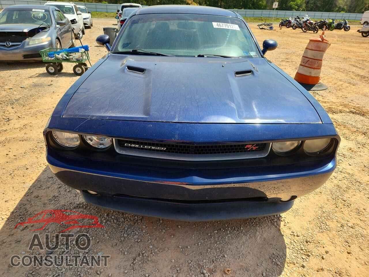 DODGE CHALLENGER 2013 - 2C3CDYBTXDH695293